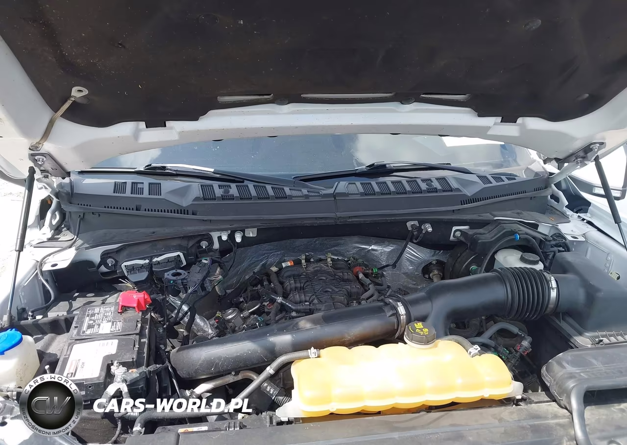 2018 Ford F-150 Raptor VIN:1FTFW1RG3JFA17033 - 10
