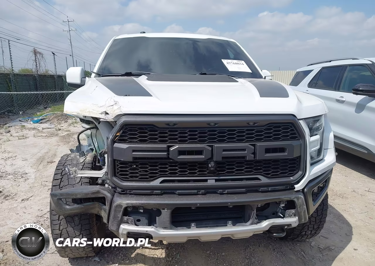 2018 Ford F-150 Raptor VIN:1FTFW1RG3JFA17033 - 13