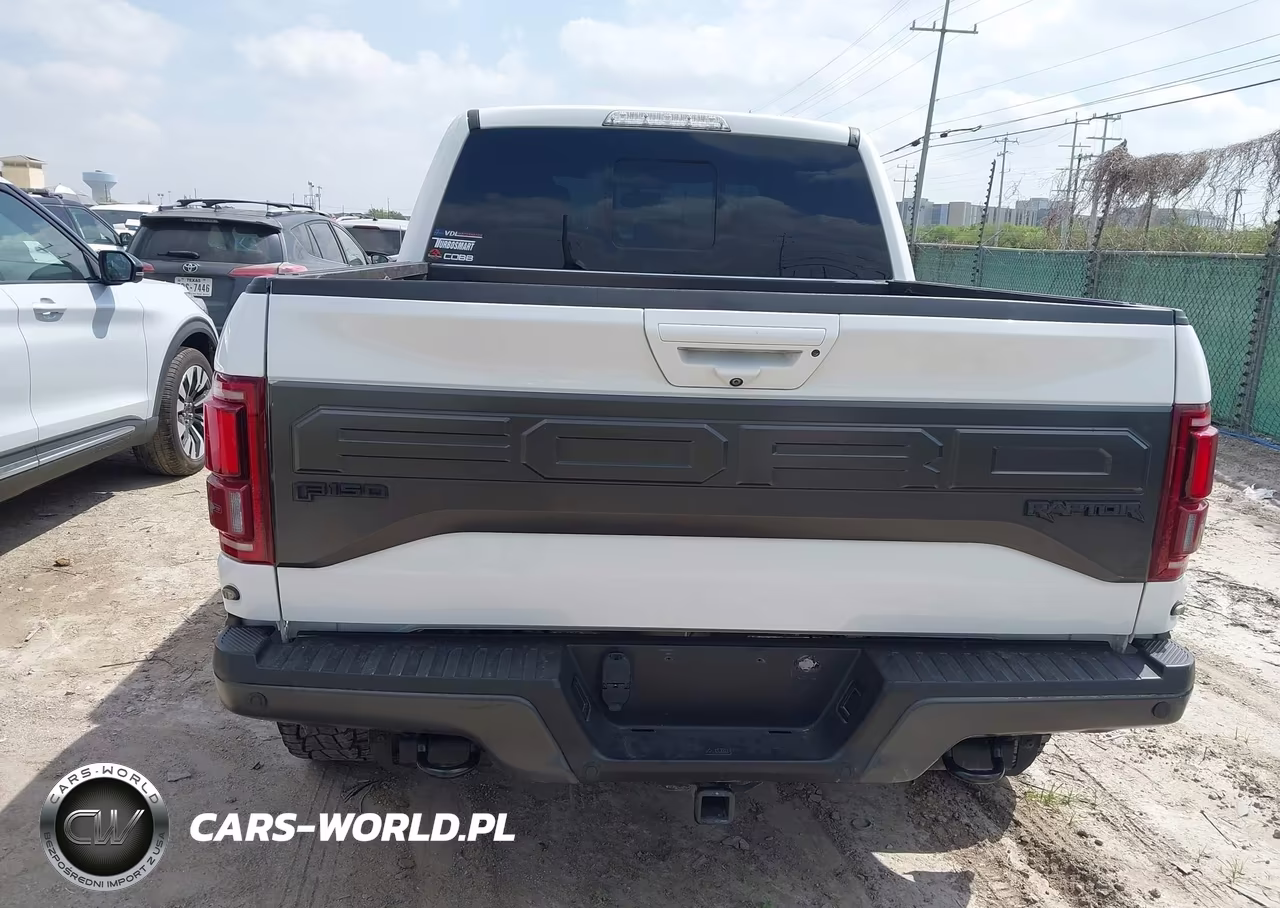 2018 Ford F-150 Raptor VIN:1FTFW1RG3JFA17033 - 17