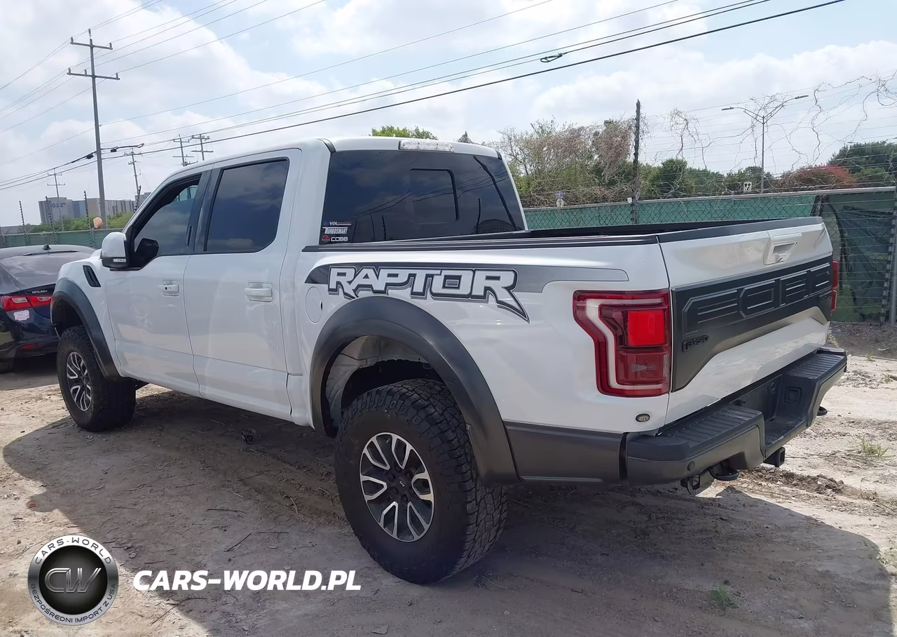 2018 Ford F-150 Raptor VIN:1FTFW1RG3JFA17033 - 3