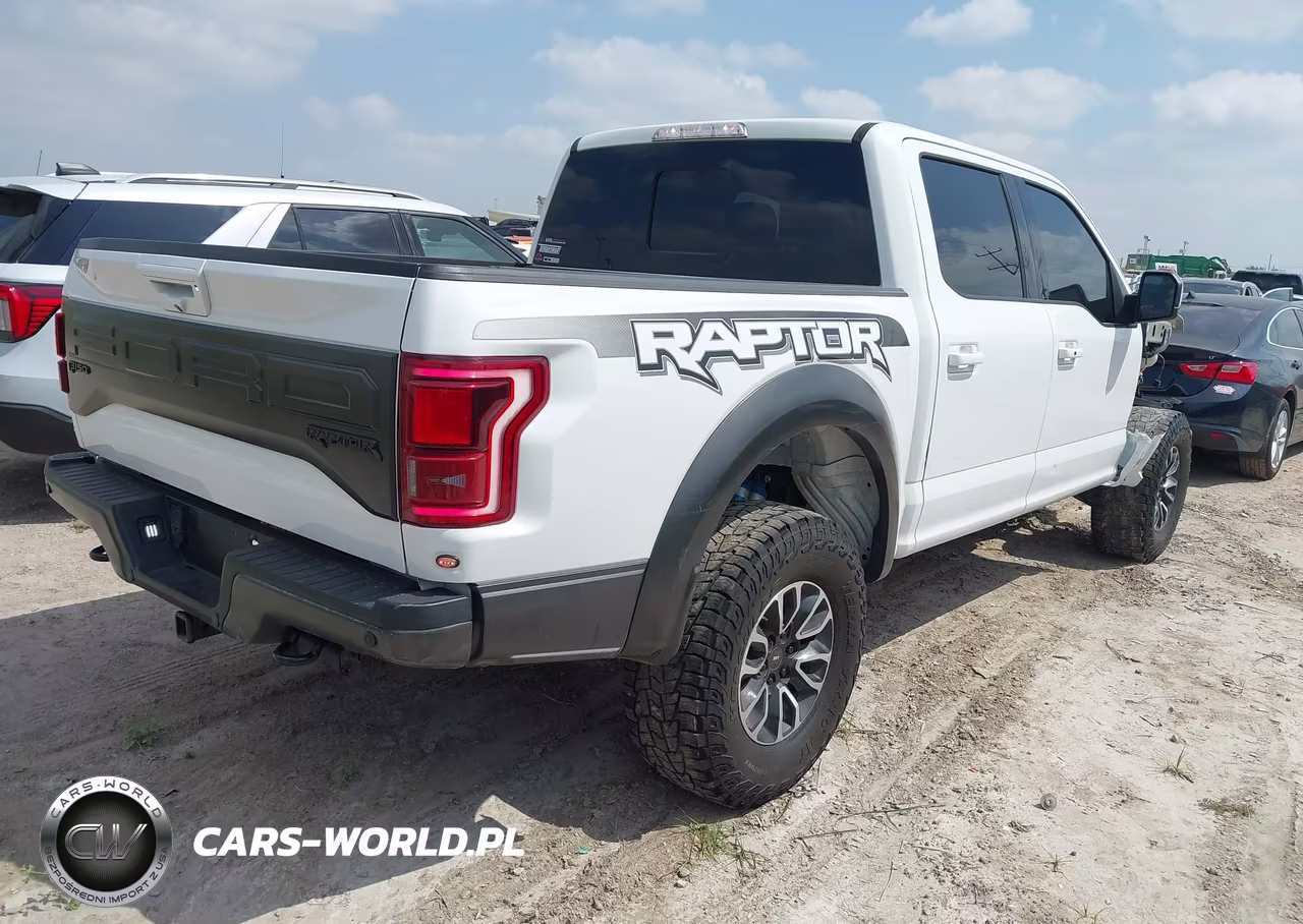 2018 Ford F-150 Raptor VIN:1FTFW1RG3JFA17033 - 4