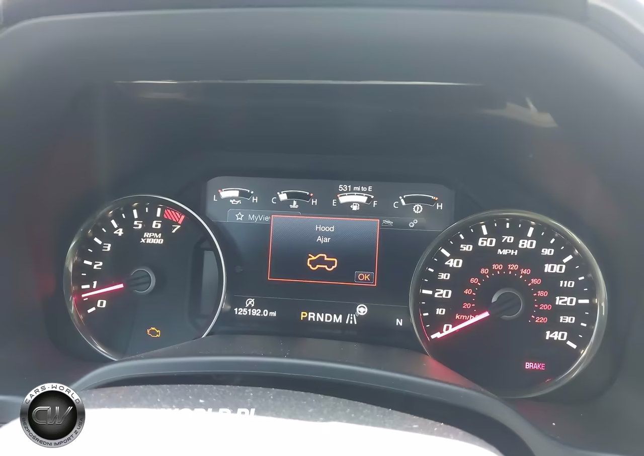 2018 Ford F-150 Raptor VIN:1FTFW1RG3JFA17033 - 7