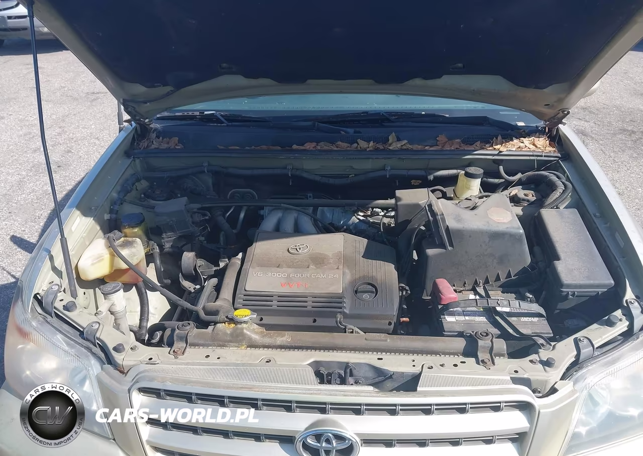 2001 Toyota Highlander V6 VIN:JTEGF21A710017469 - 10