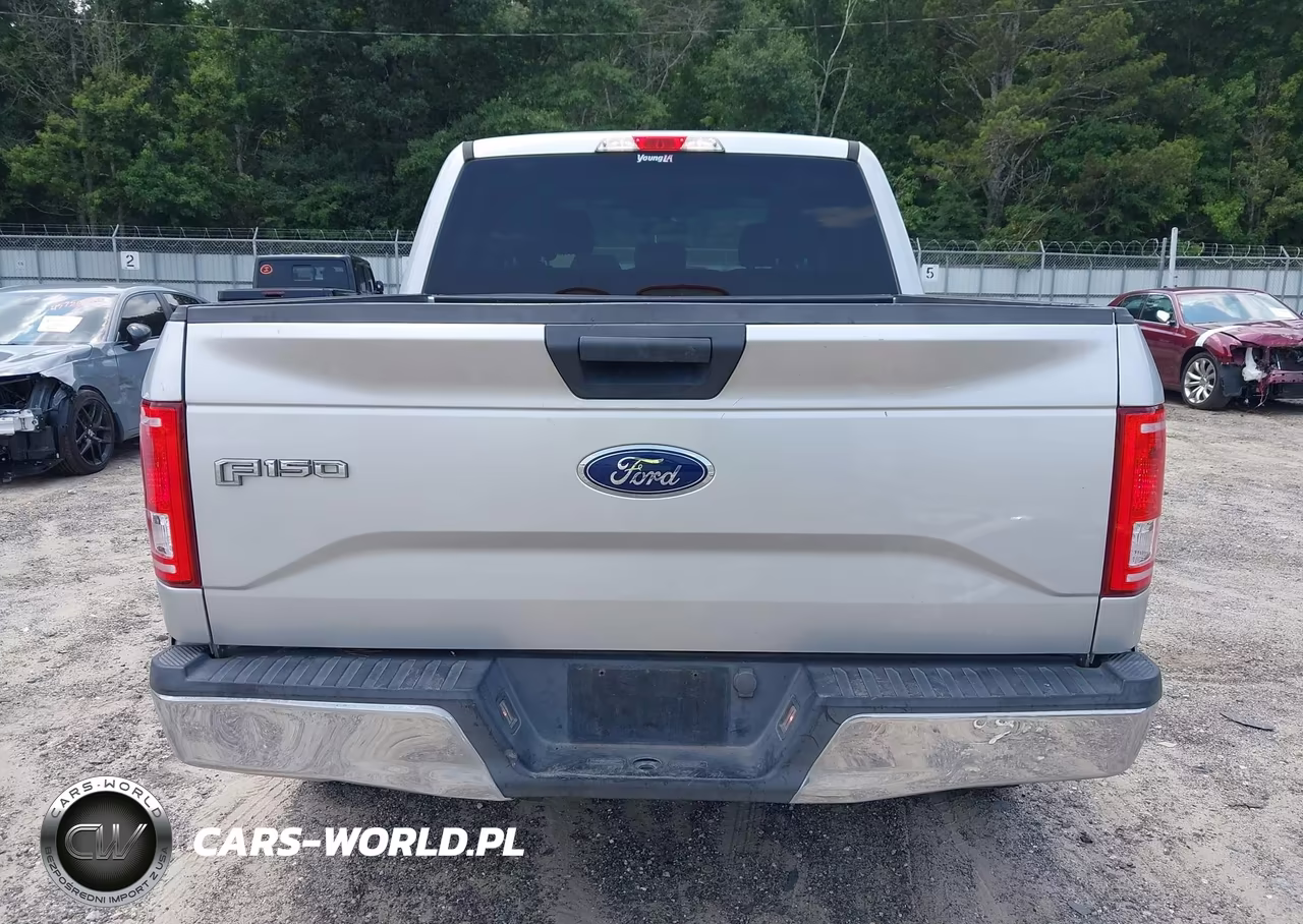 2015 Ford F-150 Xlt VIN:1FTEW1CG0FFA59560 - 17