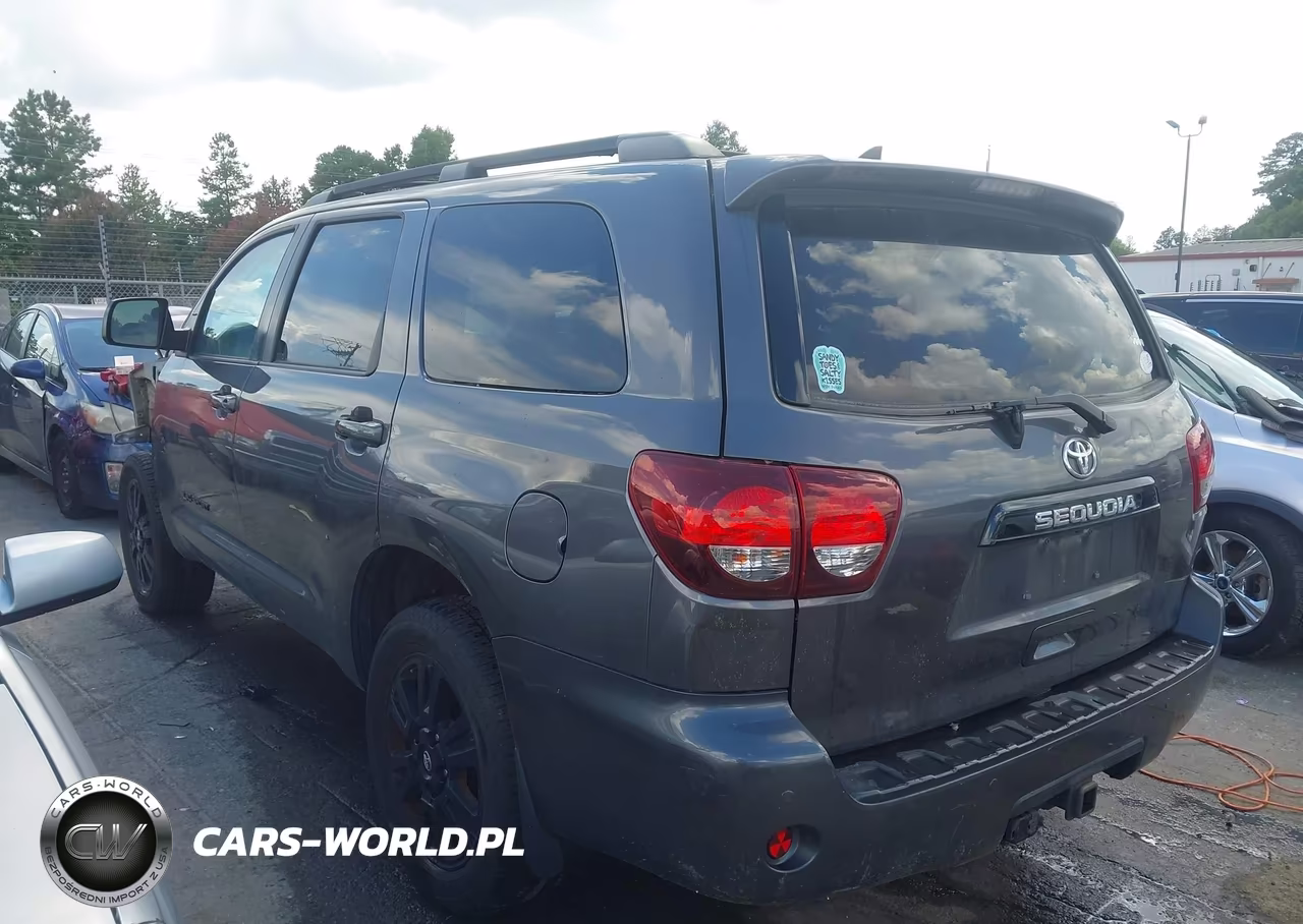 2018 Toyota Sequoia Trd Sport VIN:5TDBY5G11JS160089 - 15