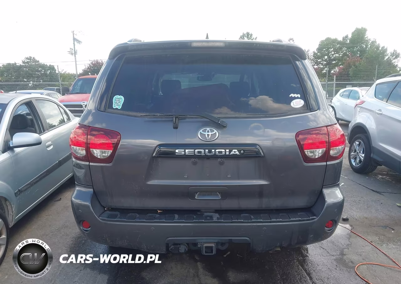 2018 Toyota Sequoia Trd Sport VIN:5TDBY5G11JS160089 - 17