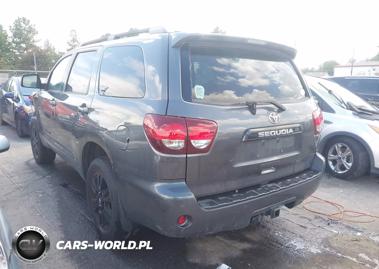 2018 Toyota Sequoia Trd Sport VIN:5TDBY5G11JS160089 - 3