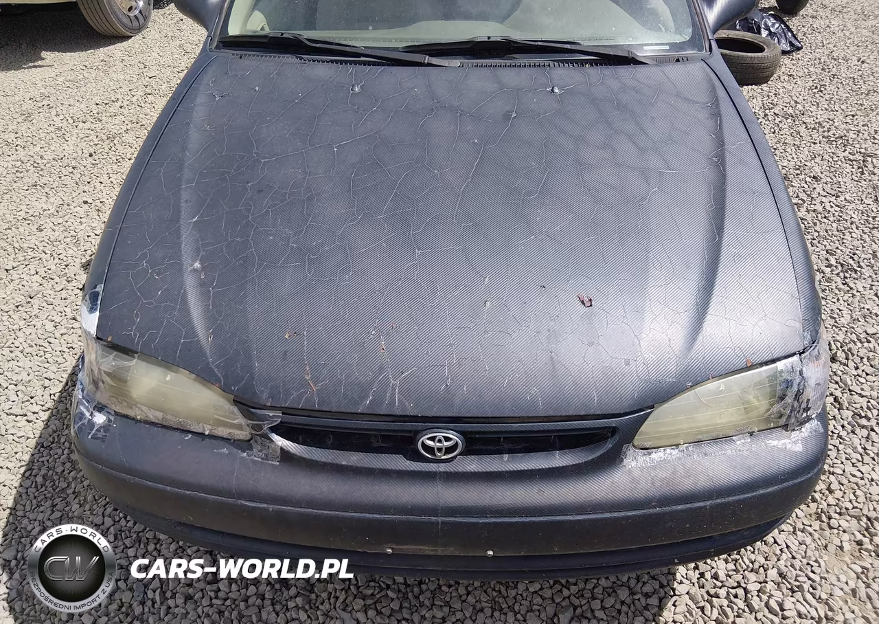 1998 Toyota Corolla Ve VIN:1NXBR12E9WZ064371 - 10