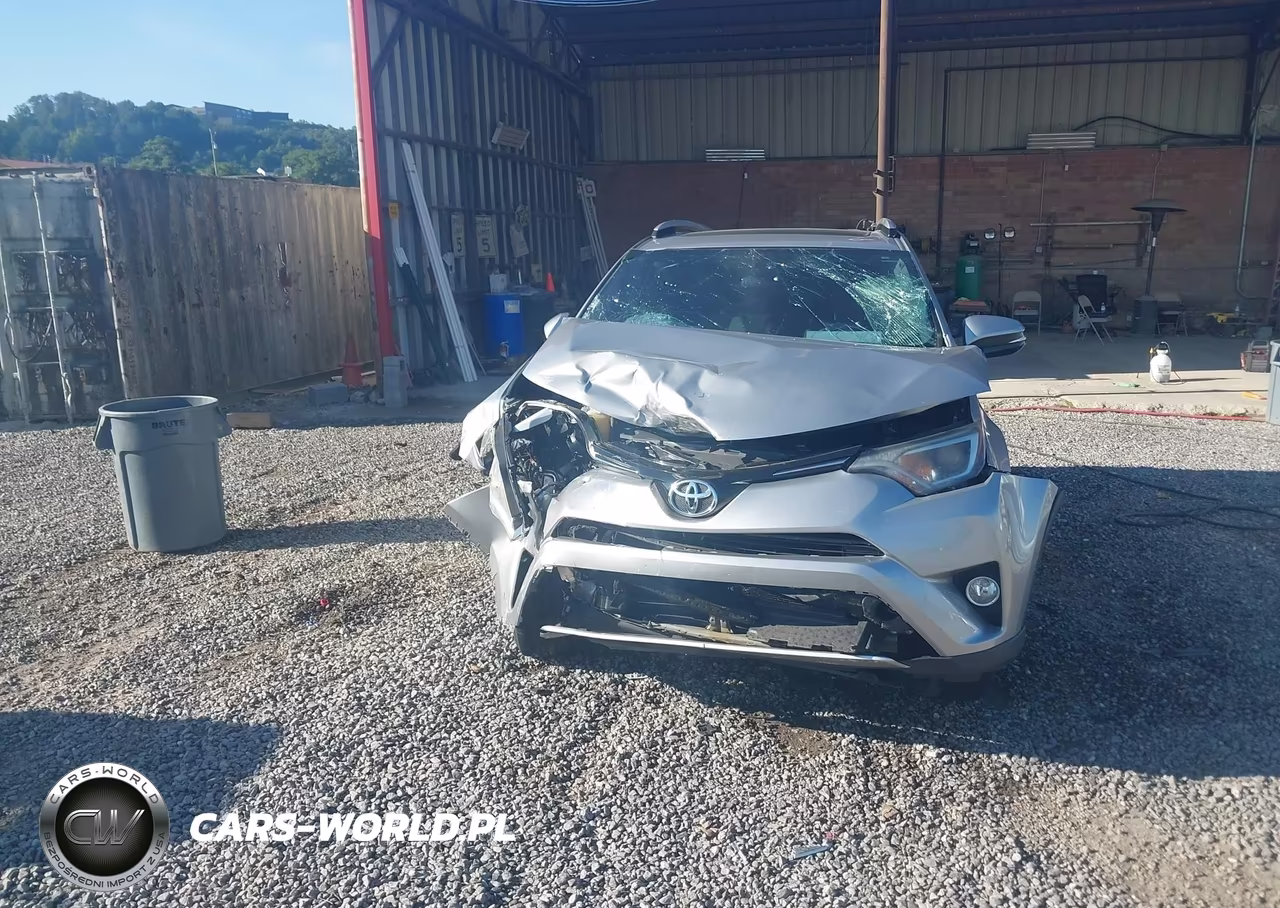 2016 Toyota Rav4 Xle VIN:2T3RFREV9GW482732 - 12