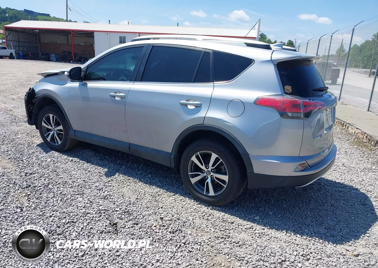 2016 Toyota Rav4 Xle VIN:2T3RFREV9GW482732 - 3