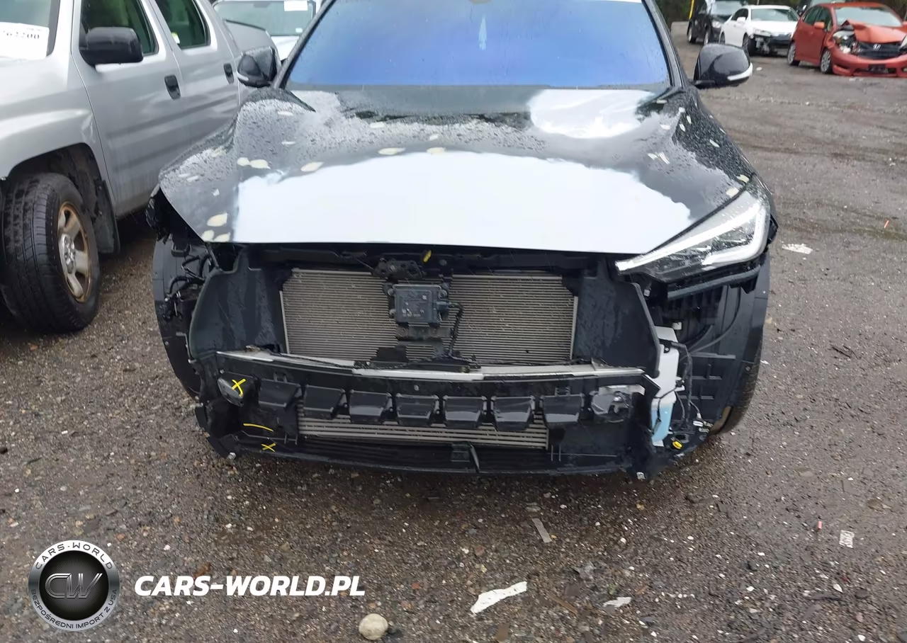 2019 Infiniti Qx50 Essential VIN:3PCAJ5M38KF102704 - 10