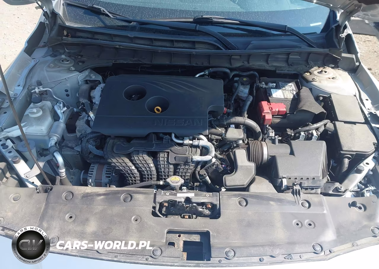 2019 Nissan Altima 2.5 Platinum VIN:1N4BL4FW7KC151007 - 10