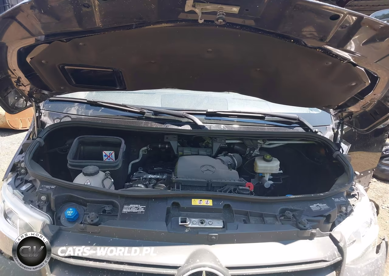 2024 Mercedes-Benz Sprinter 2500 Standard Roof 4-Cyl Diesel Ho VIN:W1Z4NFHY4RP662451 - 10