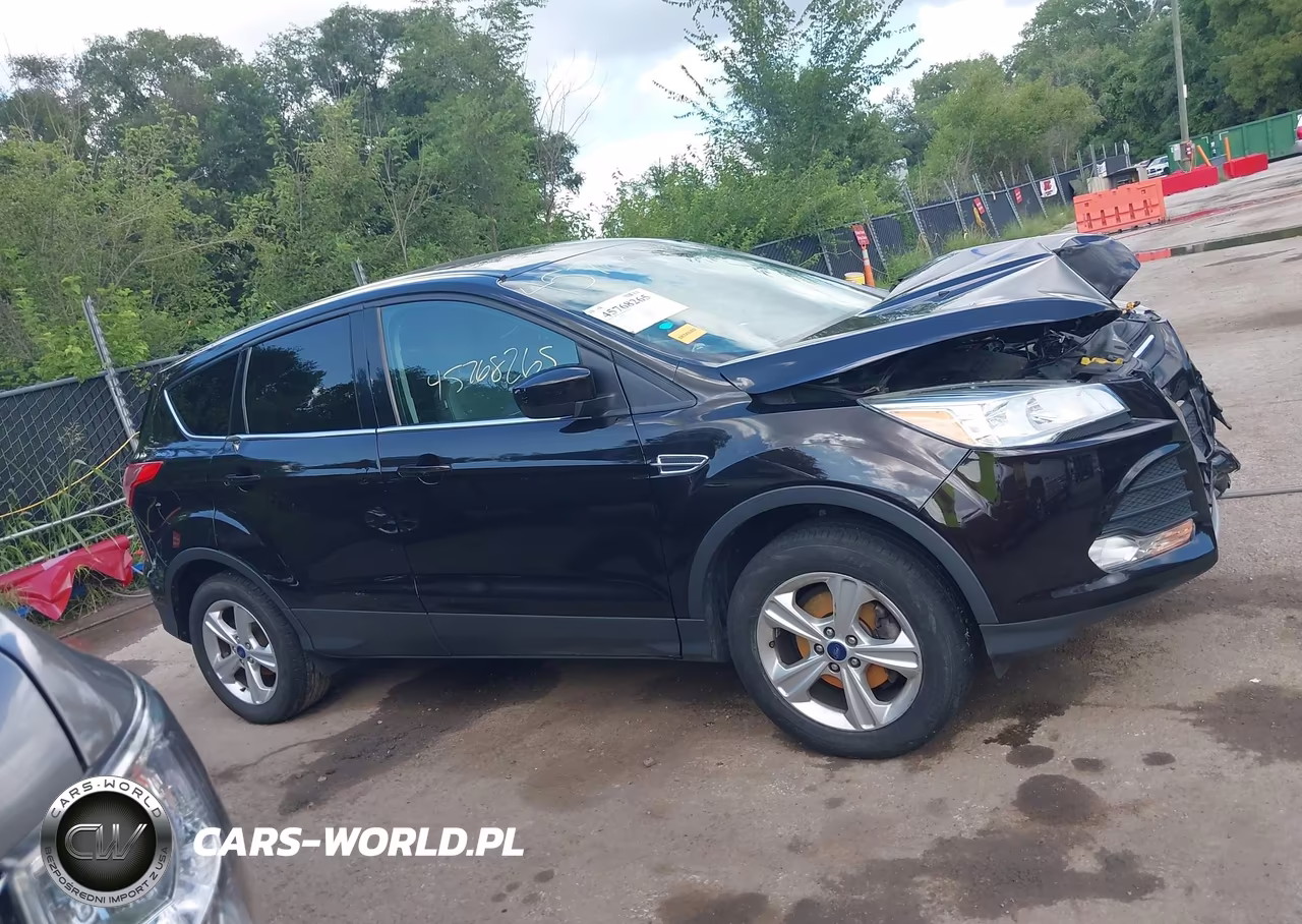 2013 Ford Escape Se VIN:1FMCU0GX9DUD51813 - 13