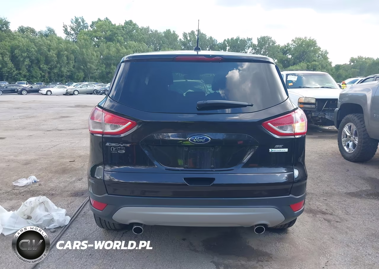 2013 Ford Escape Se VIN:1FMCU0GX9DUD51813 - 16