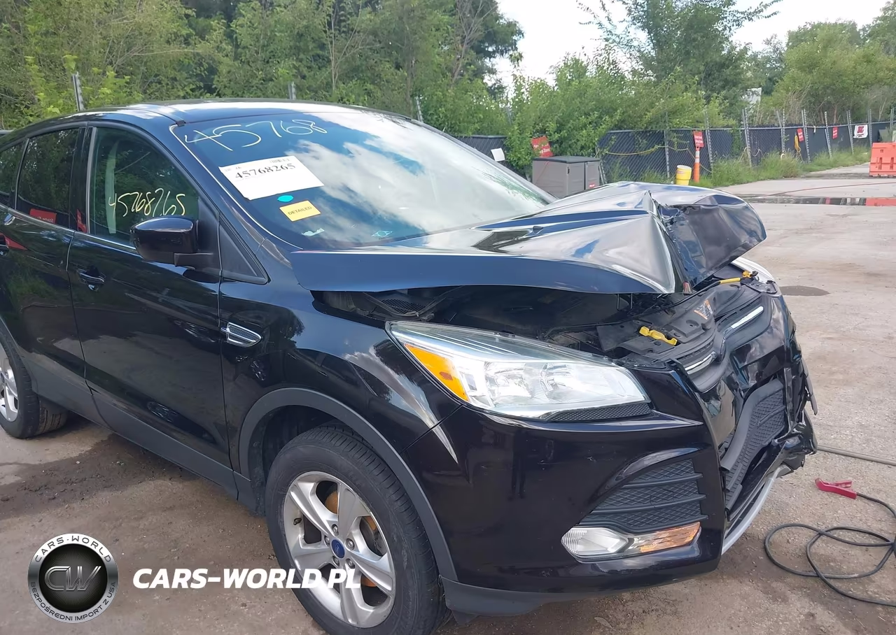 2013 Ford Escape Se VIN:1FMCU0GX9DUD51813 - 17