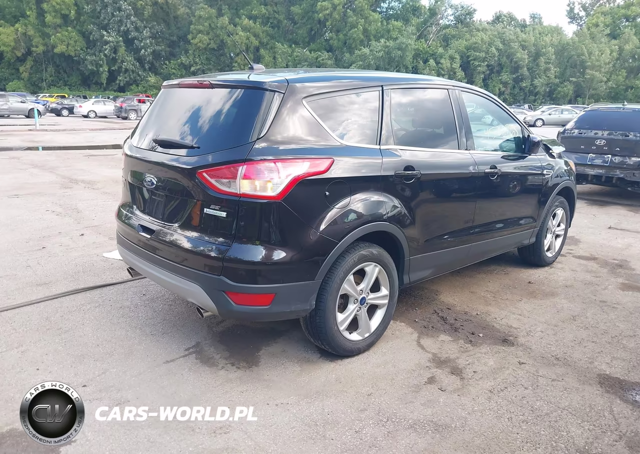 2013 Ford Escape Se VIN:1FMCU0GX9DUD51813 - 4