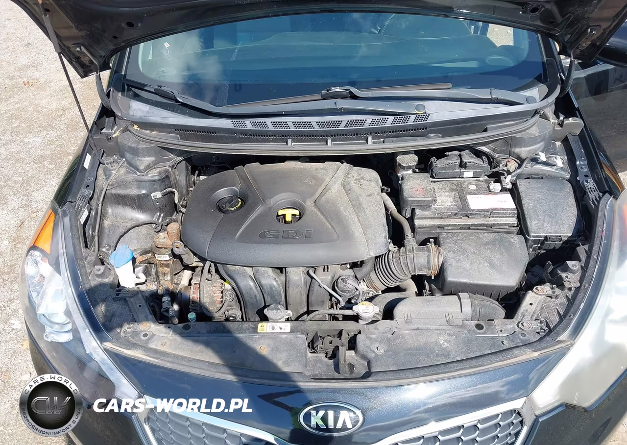 2015 Kia Forte Ex VIN:KNAFX4A85F5270500 - 10