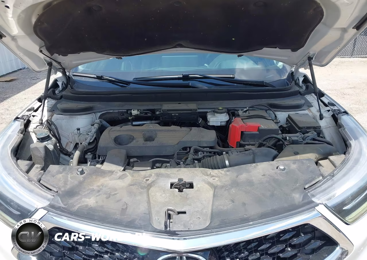 2020 Acura Rdx Advance Package VIN:5J8TC2H70LL030122 - 10