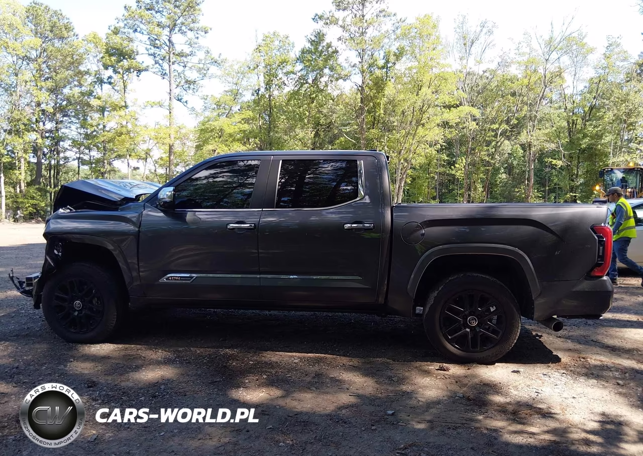 2024 Toyota Tundra 1794 Edition VIN:5TFMA5DB5RX209066 - 14