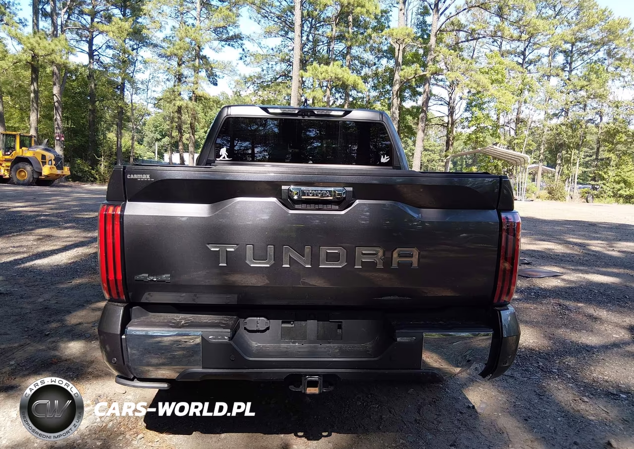 2024 Toyota Tundra 1794 Edition VIN:5TFMA5DB5RX209066 - 16
