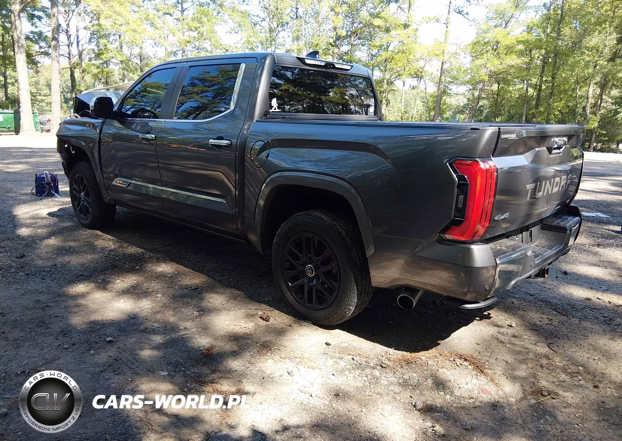 2024 Toyota Tundra 1794 Edition VIN:5TFMA5DB5RX209066 - 3