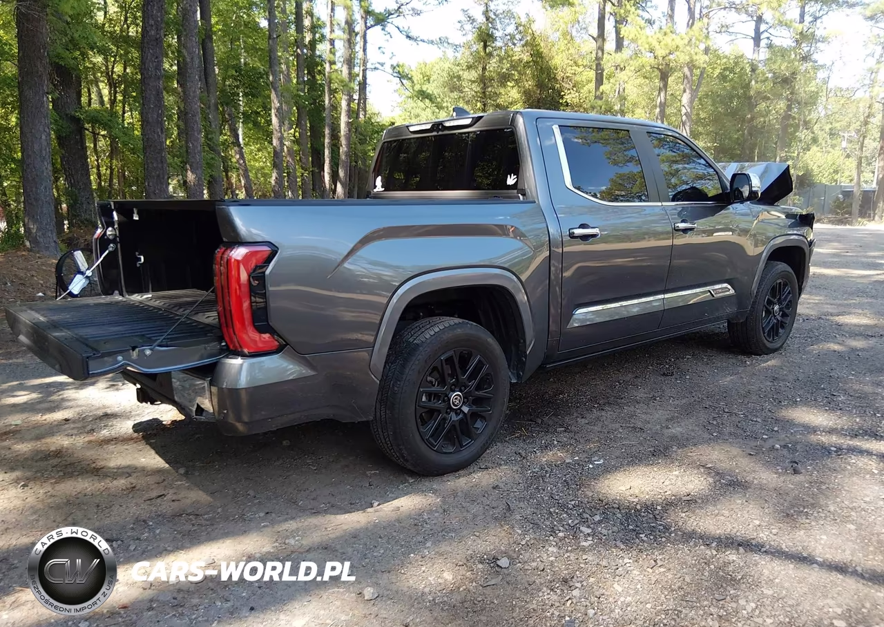 2024 Toyota Tundra 1794 Edition VIN:5TFMA5DB5RX209066 - 4