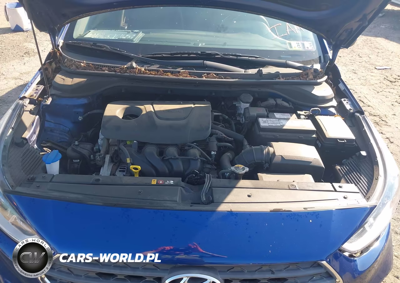 2018 Hyundai Accent Se VIN:3KPC24A3XJE031871 - 10