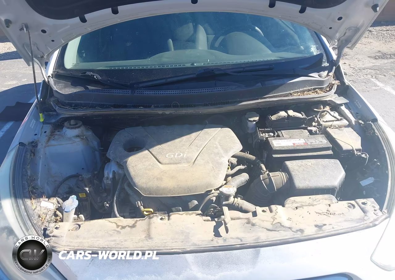 2014 Hyundai Accent Se VIN:KMHCU5AE2EU141981 - 10