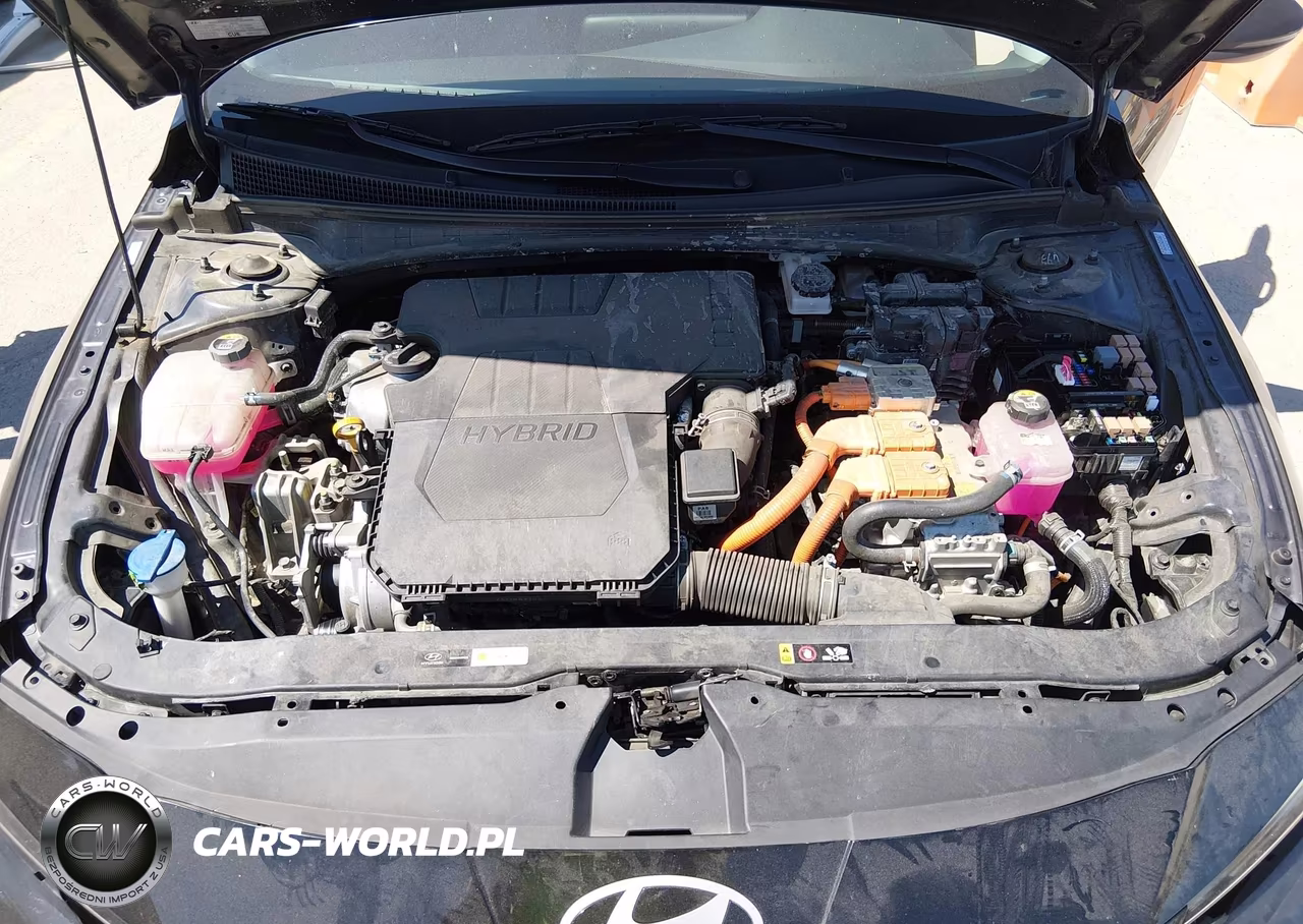2024 Hyundai Elantra Hybrid Limited VIN:KMHLN4DJ5RU105983 - 10