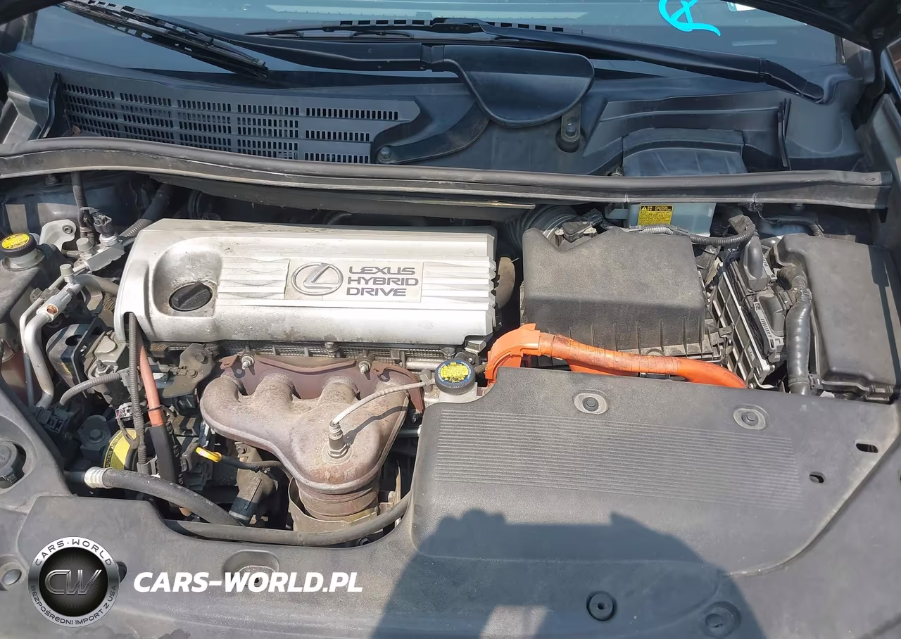 2010 Lexus Hs 250H Premium VIN:JTHBB1BA0A2016962 - 10