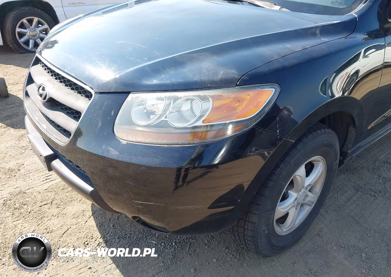 2007 Hyundai Santa Fe Gls VIN:KM8SG13D97U097433 - 12