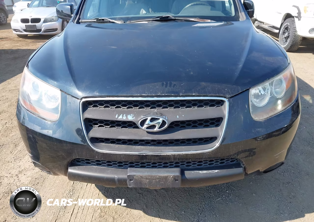 2007 Hyundai Santa Fe Gls VIN:KM8SG13D97U097433 - 6