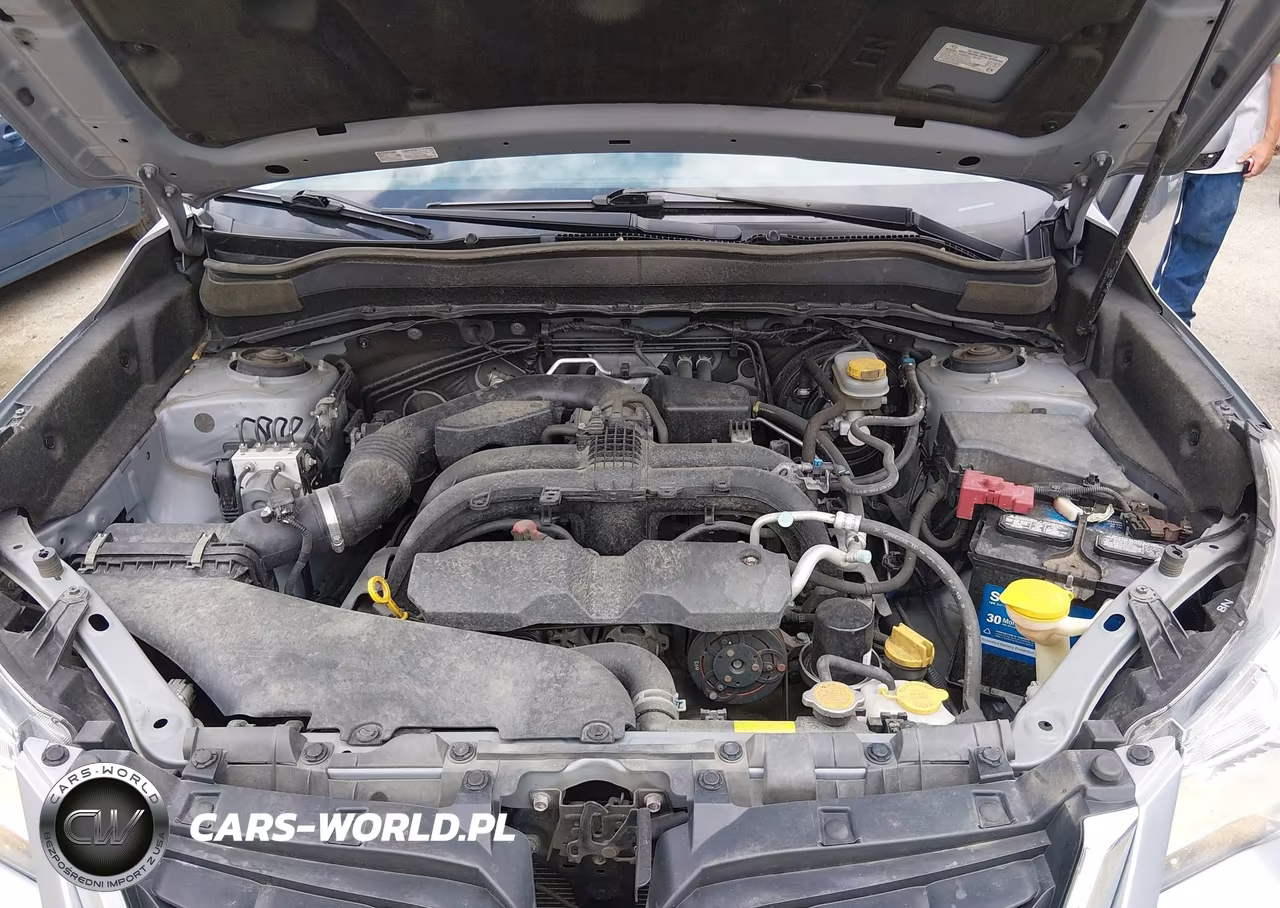 2017 Subaru Forester 2.5I Premium VIN:JF2SJAEC0HH500608 - 10
