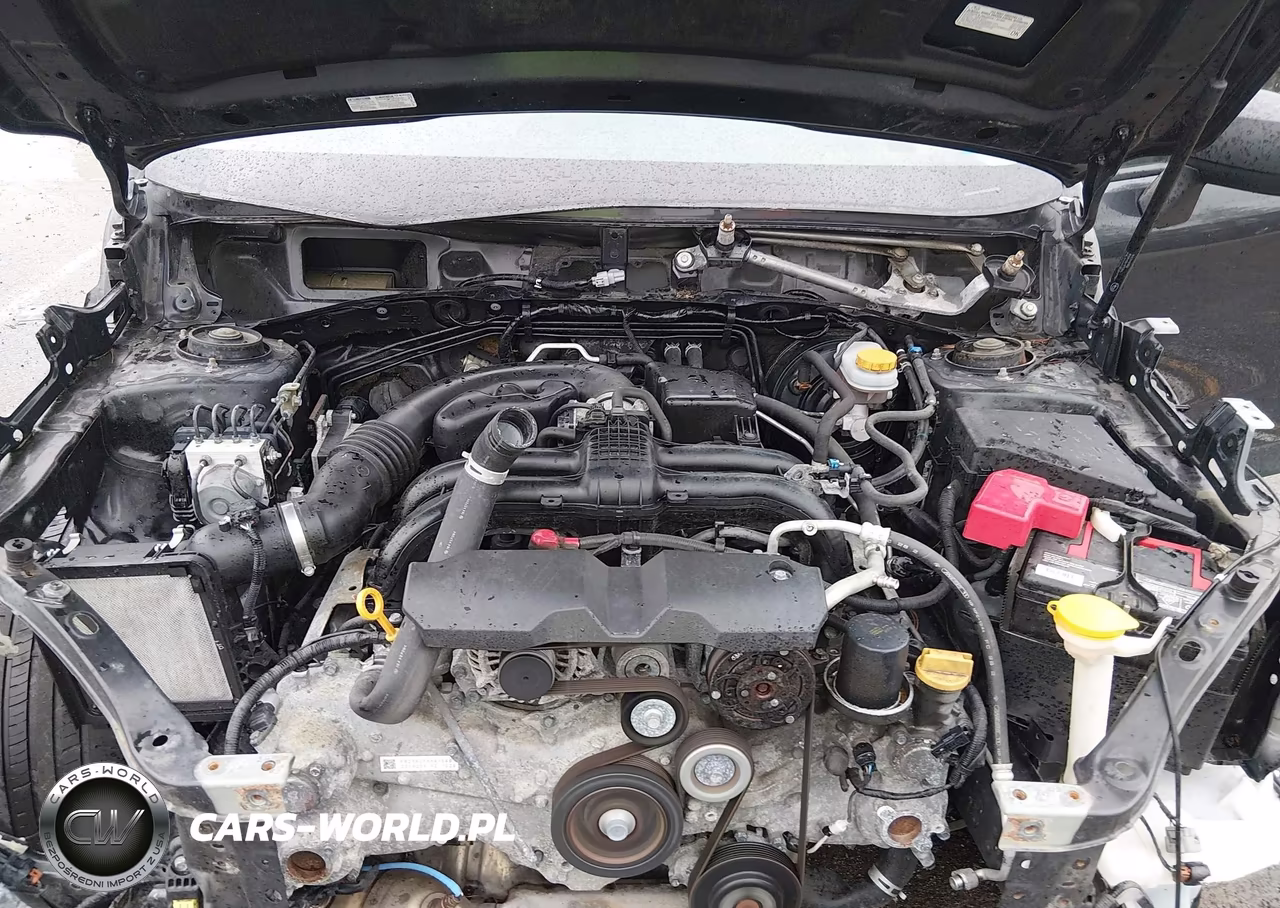 2016 Subaru Forester 2.5I VIN:JF2SJABCXGH569082 - 10