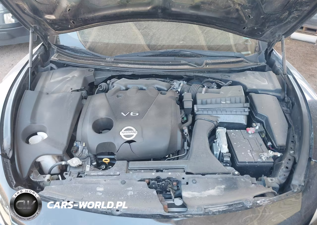 2009 Nissan Maxima 3.5 Sv VIN:1N4AA51E49C833732 - 10