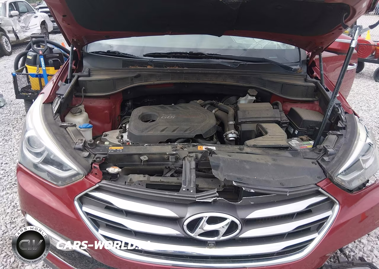 2017 Hyundai Santa Fe Sport 2.0T Ultimate VIN:5XYZW4LA5HG422482 - 10