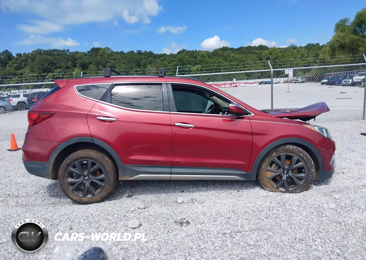 2017 Hyundai Santa Fe Sport 2.0T Ultimate VIN:5XYZW4LA5HG422482 - 12