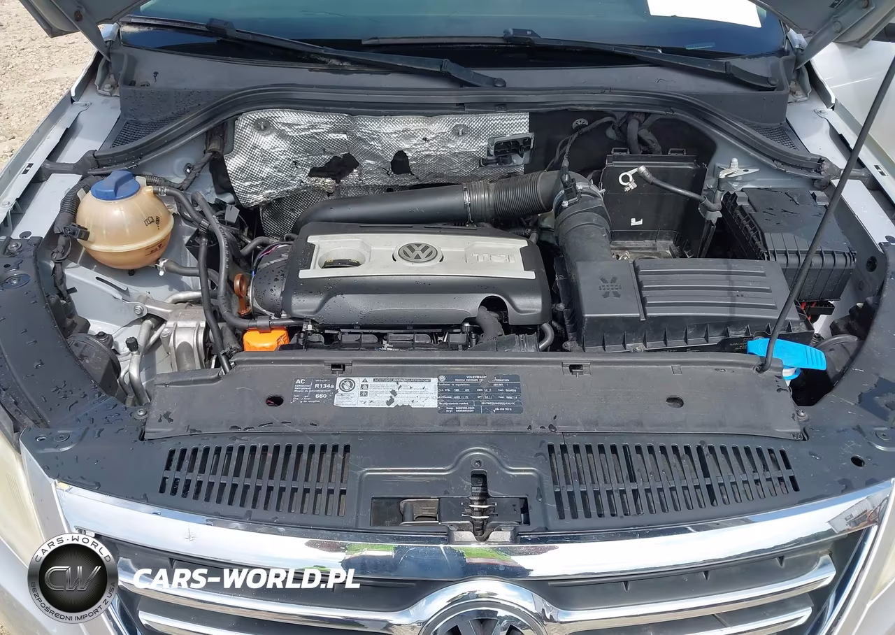 2011 Volkswagen Tiguan S VIN:WVGAV7AX4BW525732 - 10