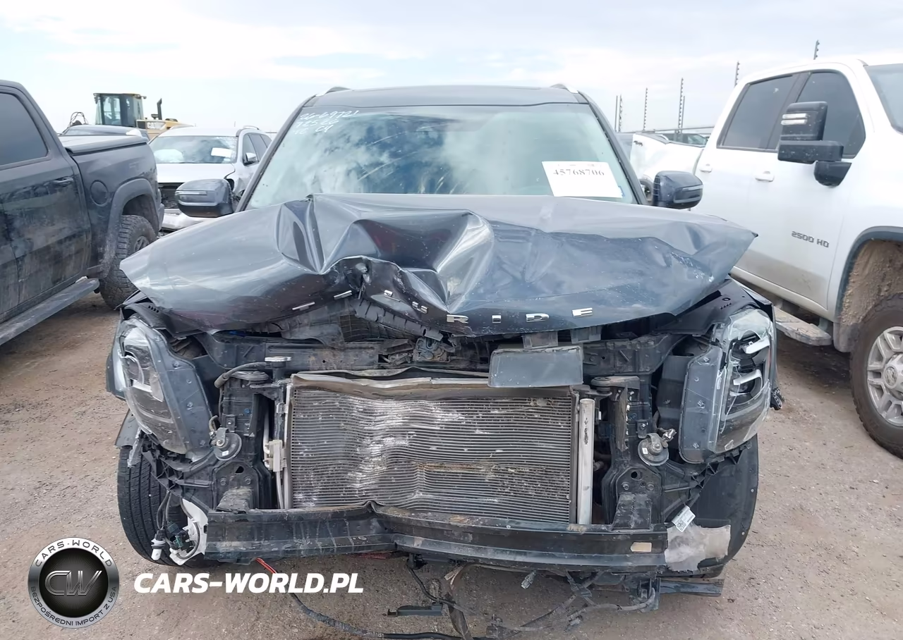 2021 Kia Telluride Ex VIN:5XYP34HC0MG181306 - 13