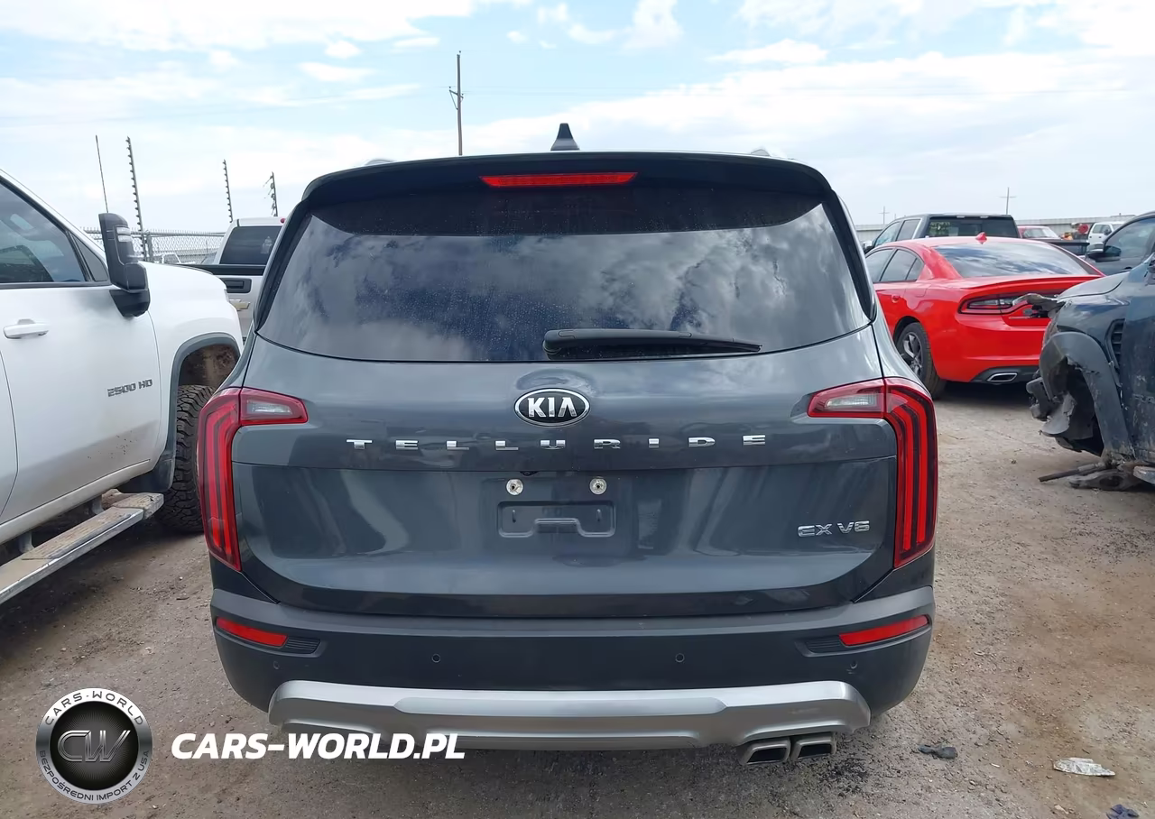 2021 Kia Telluride Ex VIN:5XYP34HC0MG181306 - 17
