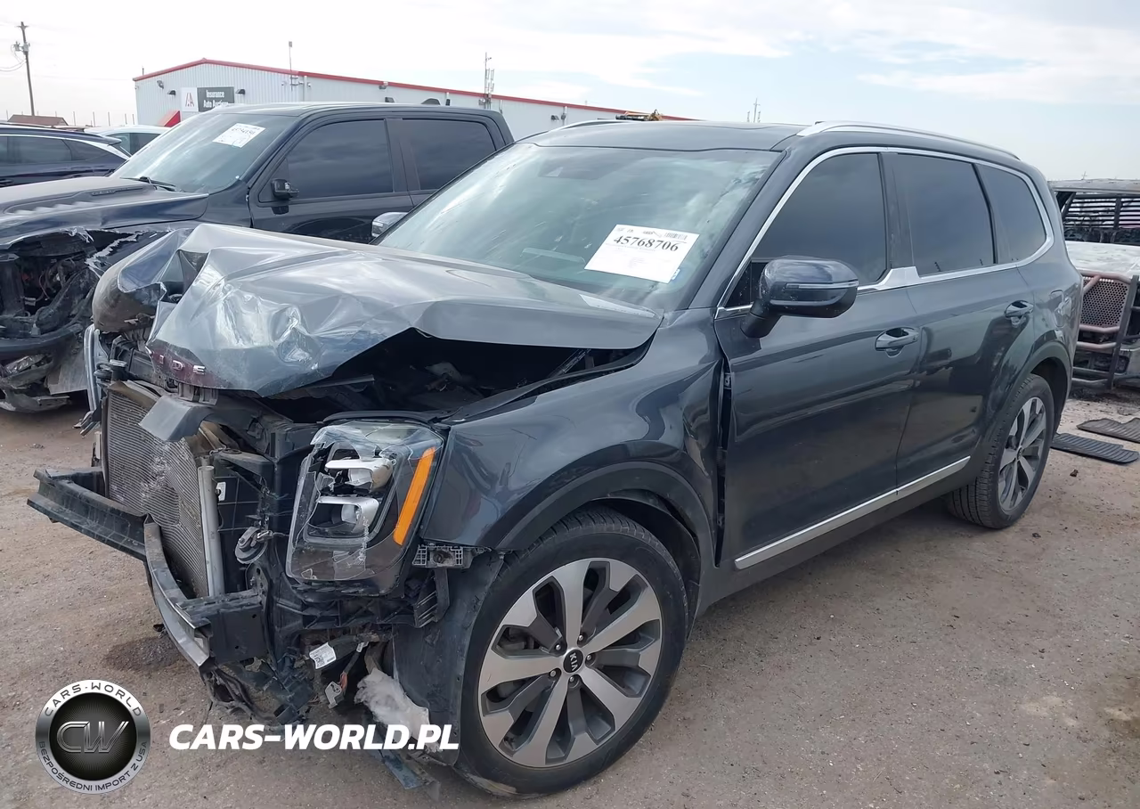 2021 Kia Telluride Ex VIN:5XYP34HC0MG181306 - 2