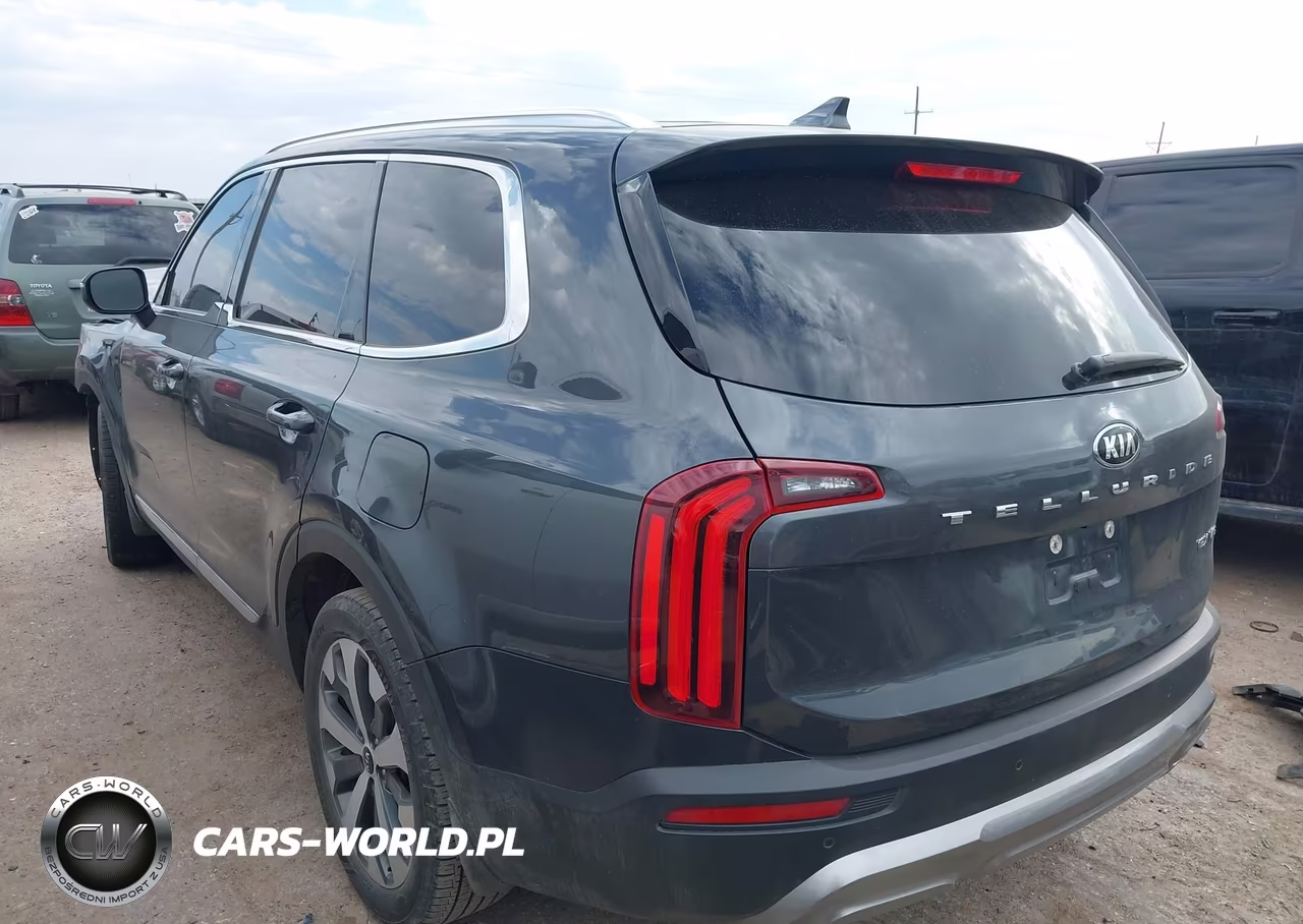 2021 Kia Telluride Ex VIN:5XYP34HC0MG181306 - 3