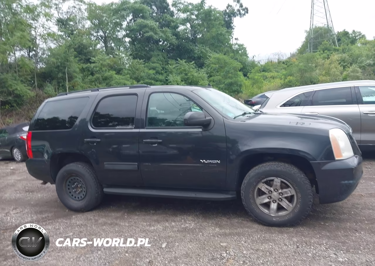 2011 GMC Yukon Sle VIN:1GKS2AE01BR167729 - 13