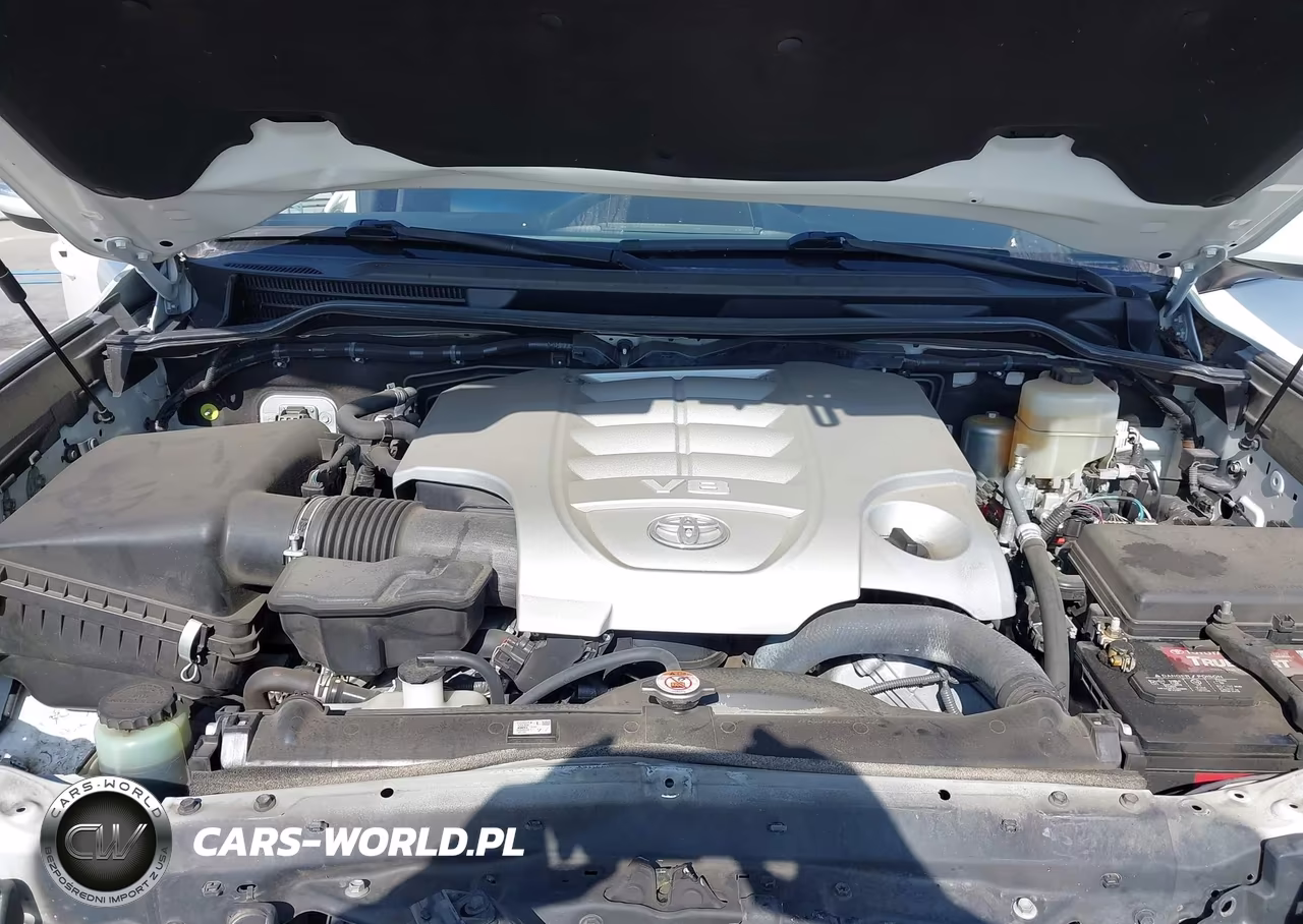 2018 Toyota Land Cruiser V8 VIN:JTMCY7AJ3J4070396 - 10