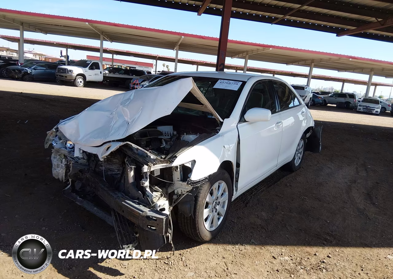 2010 Toyota Camry Le VIN:JTNBF3EK8A3004876 - 2