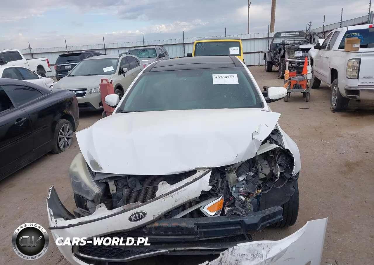 2014 Kia Cadenza Premium VIN:KNALN4D79E5163864 - 13
