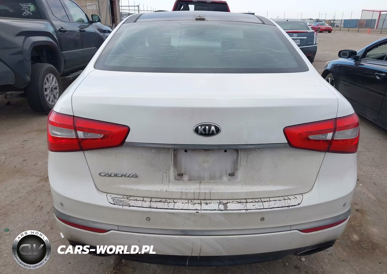 2014 Kia Cadenza Premium VIN:KNALN4D79E5163864 - 17
