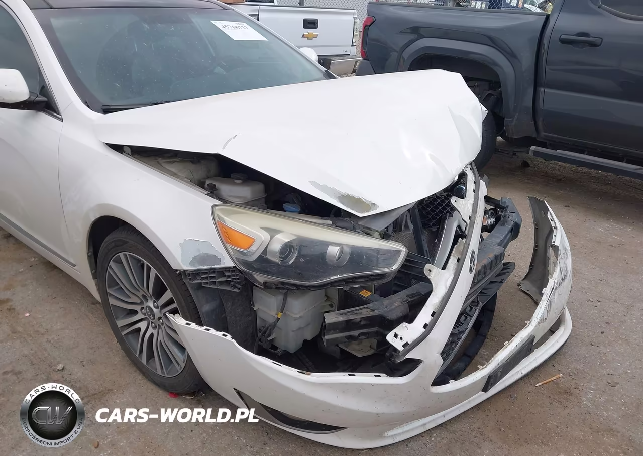 2014 Kia Cadenza Premium VIN:KNALN4D79E5163864 - 19