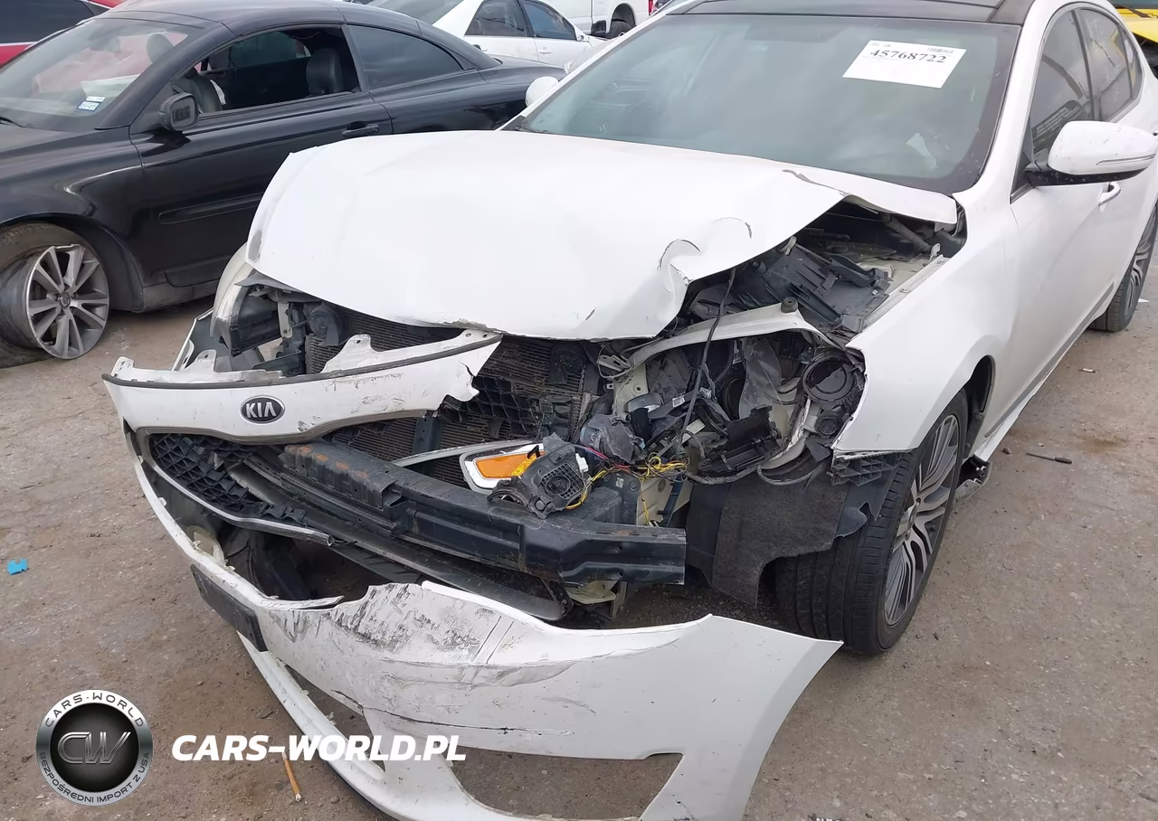 2014 Kia Cadenza Premium VIN:KNALN4D79E5163864 - 6